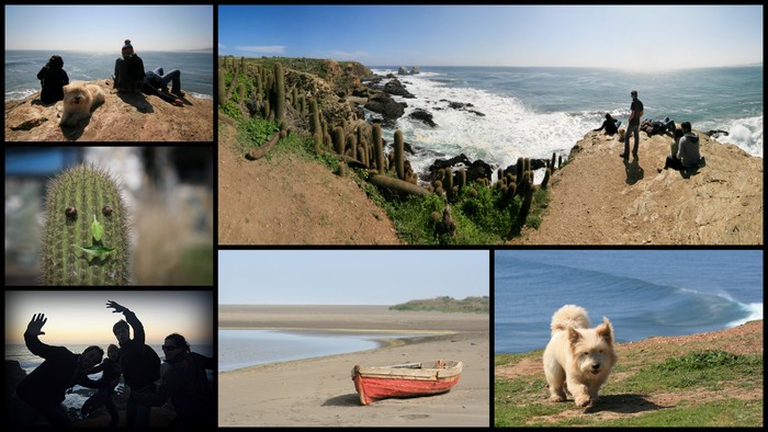 Pichilemu Punta de Lobos Cabañas Ekla